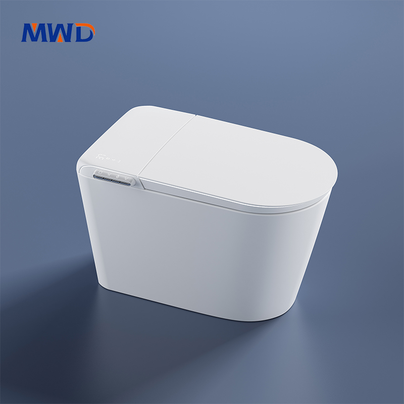 smart toilet
