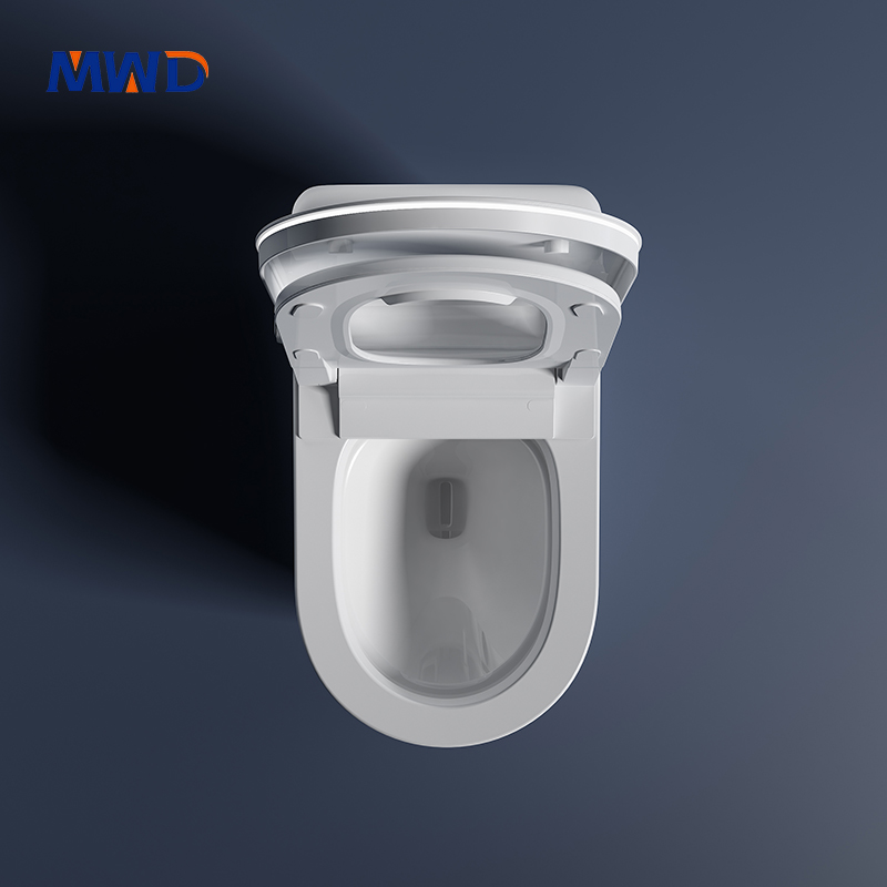smart toilet