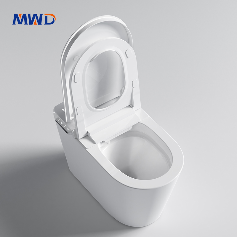 smart toilet