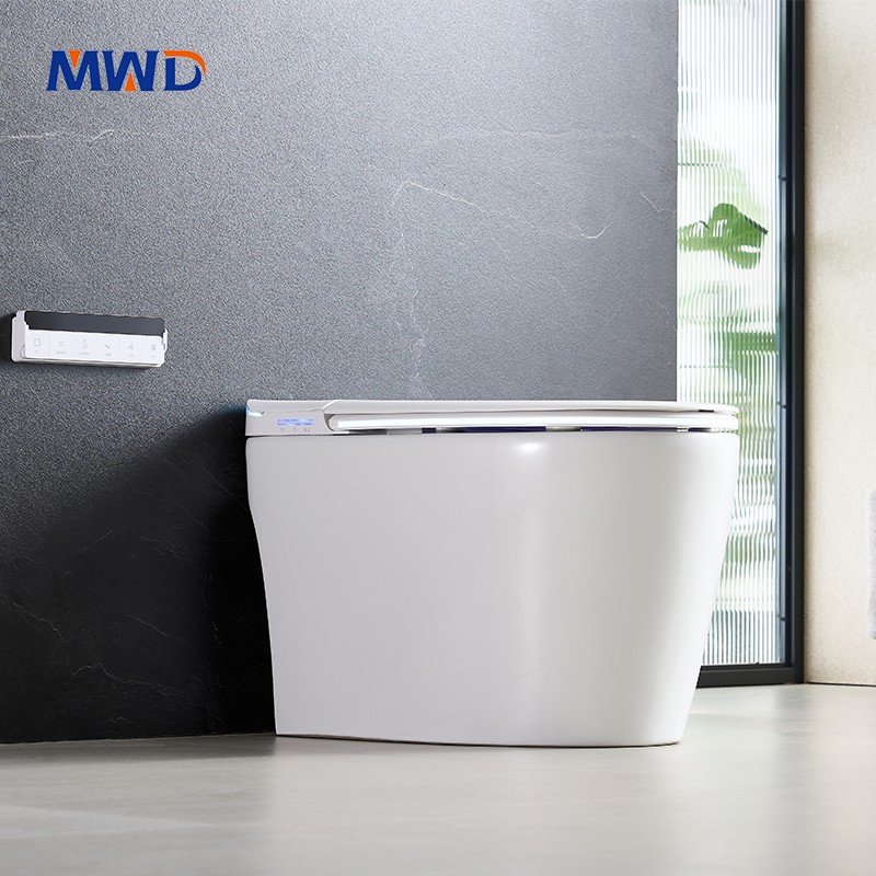 smart toilet
