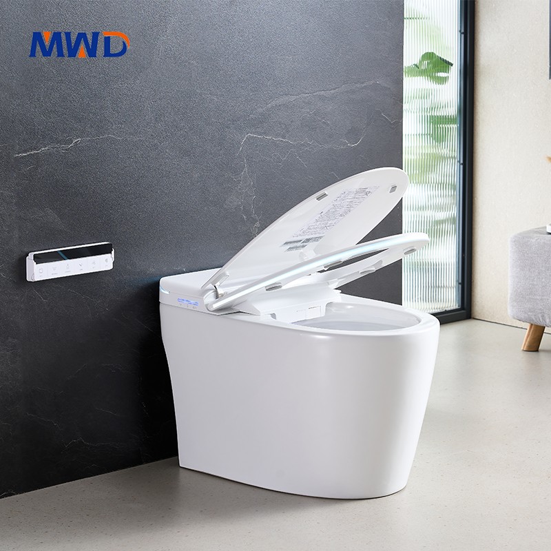 smart toilet