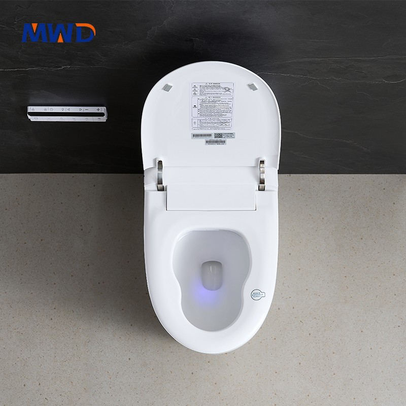 smart toilet