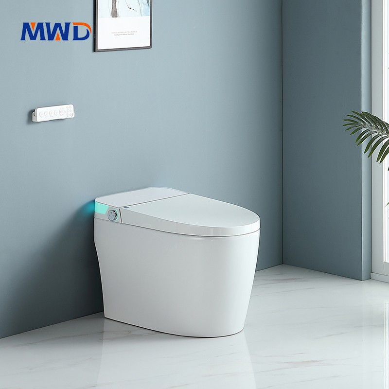 smart toilet