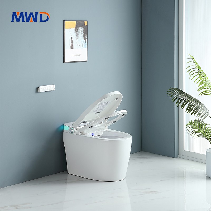 smart toilet