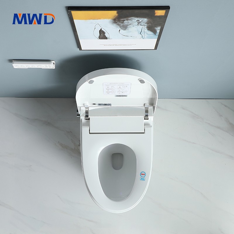 smart toilet