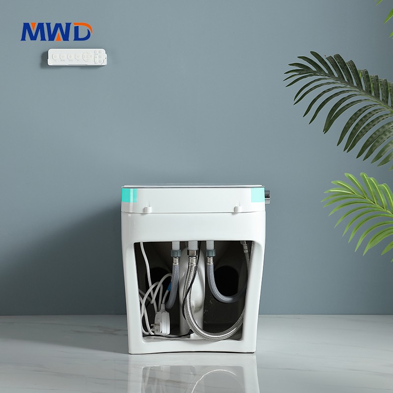 smart toilet