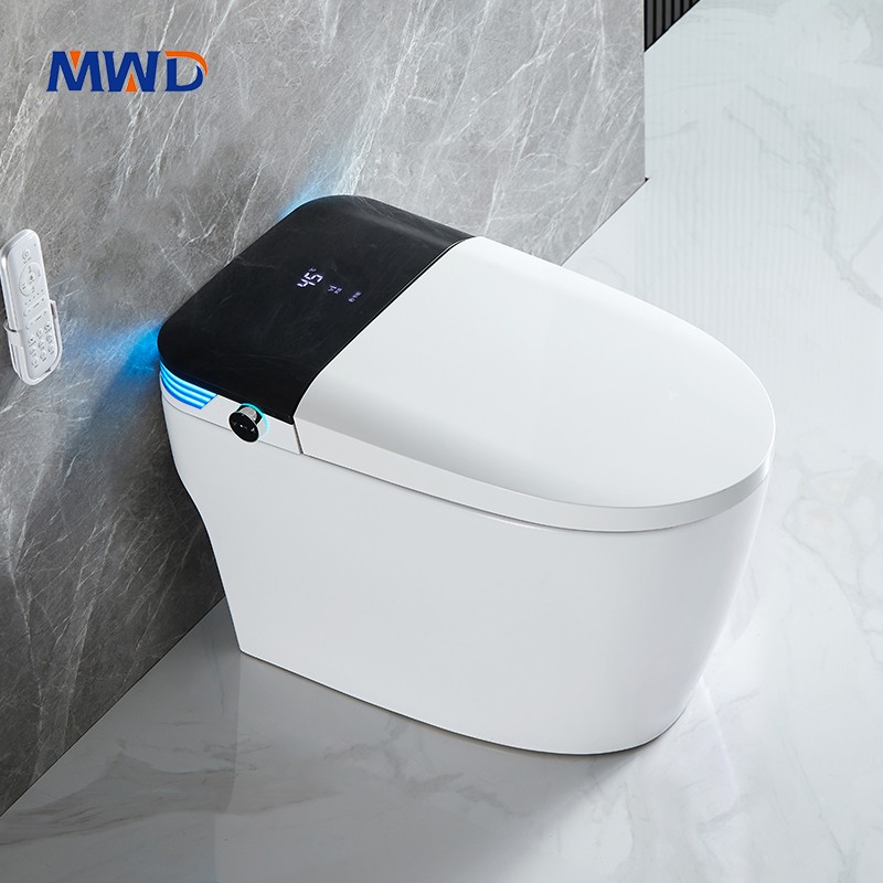 smart toilet