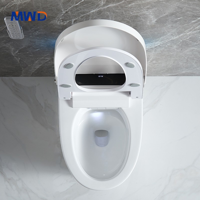 smart toilet