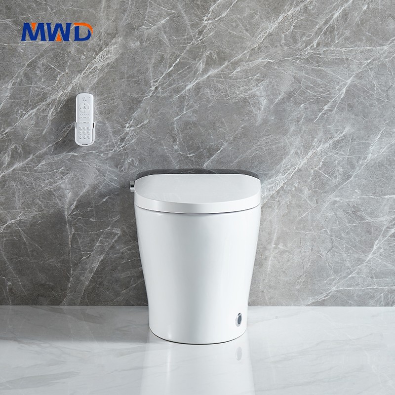 smart toilet