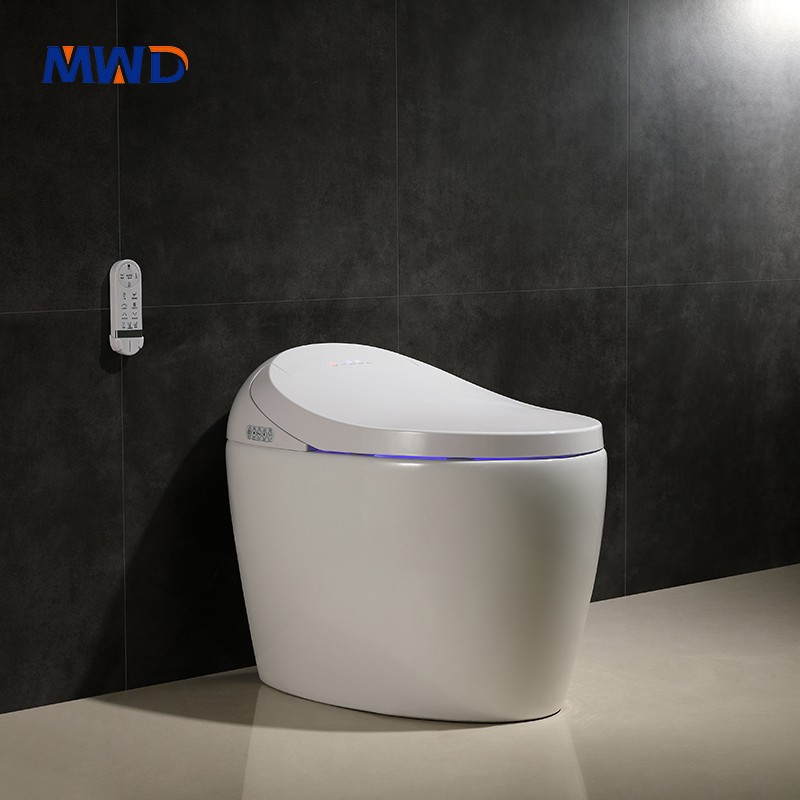 smart toilet