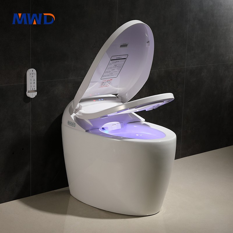 smart toilet