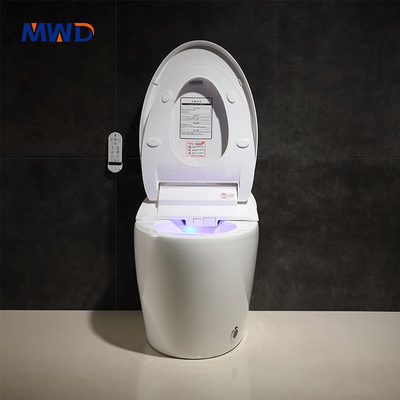 smart toilet