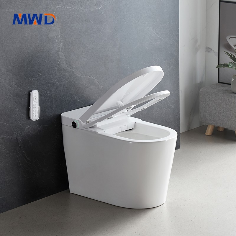 smart toilet