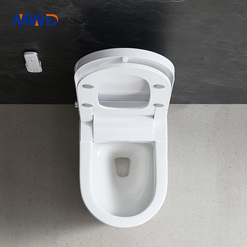 smart toilet
