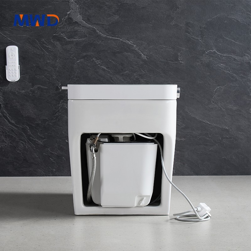 smart toilet