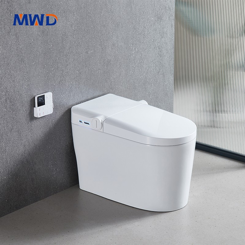 smart toilet