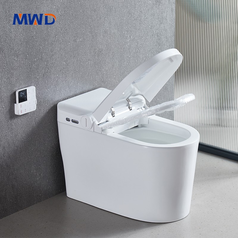 smart toilet