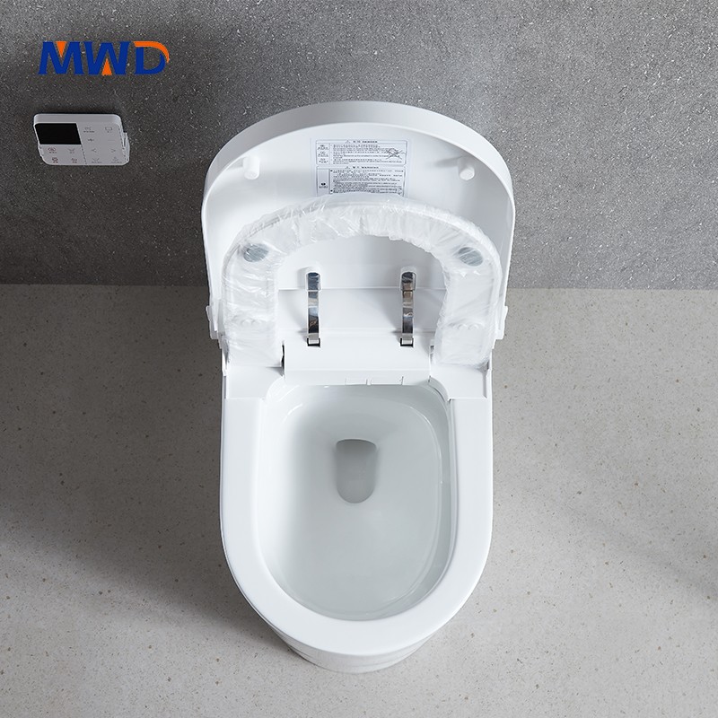 smart toilet