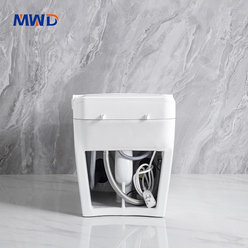 smart toilet