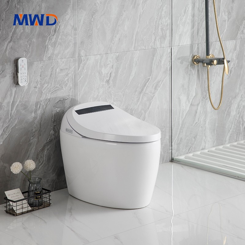 smart toilet