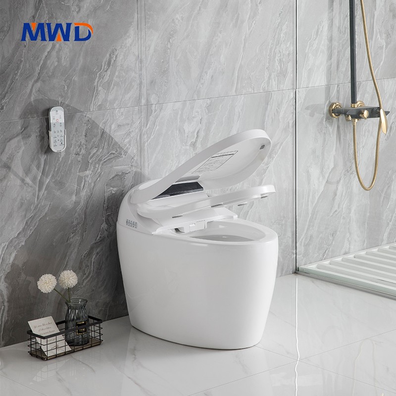 smart toilet
