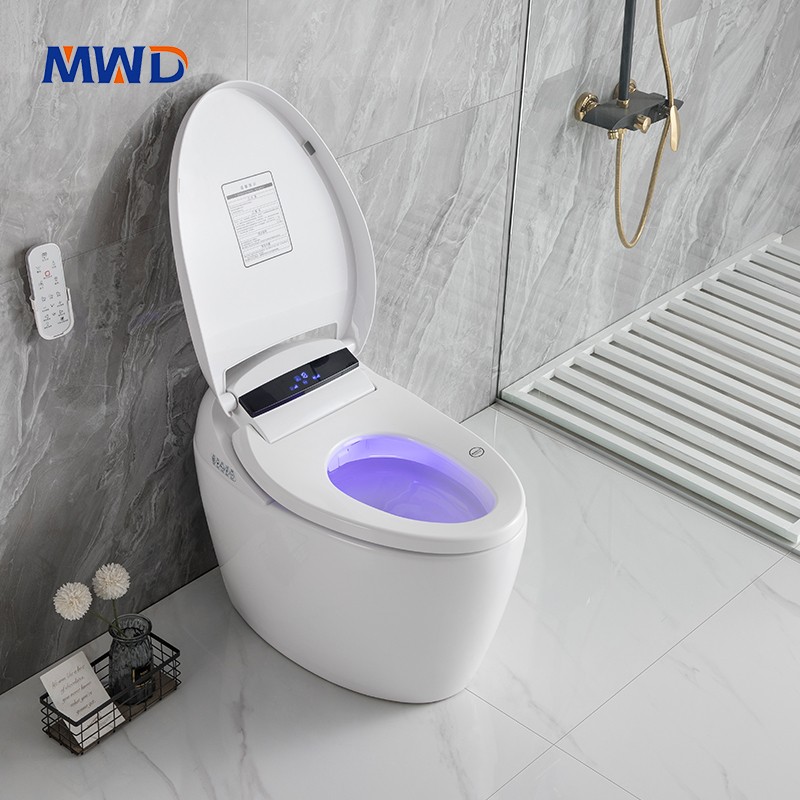 smart toilet