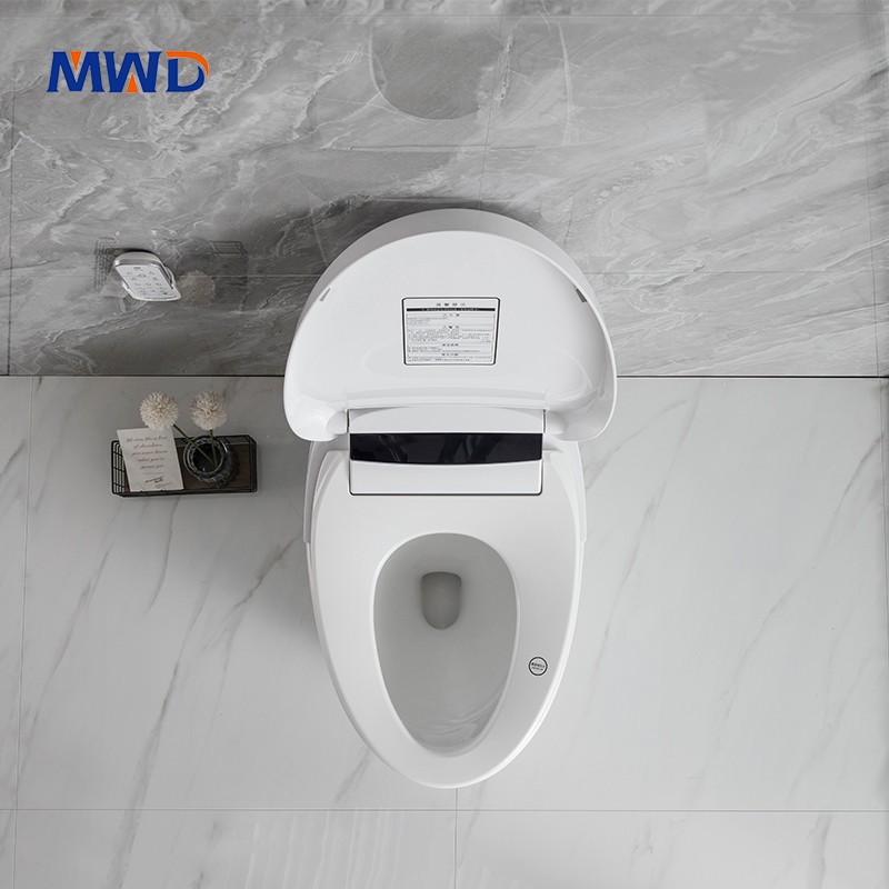 smart toilet