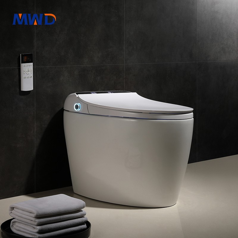smart toilet
