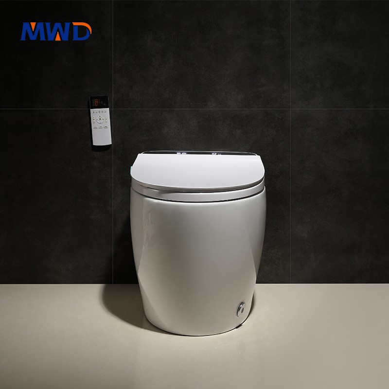 smart toilet