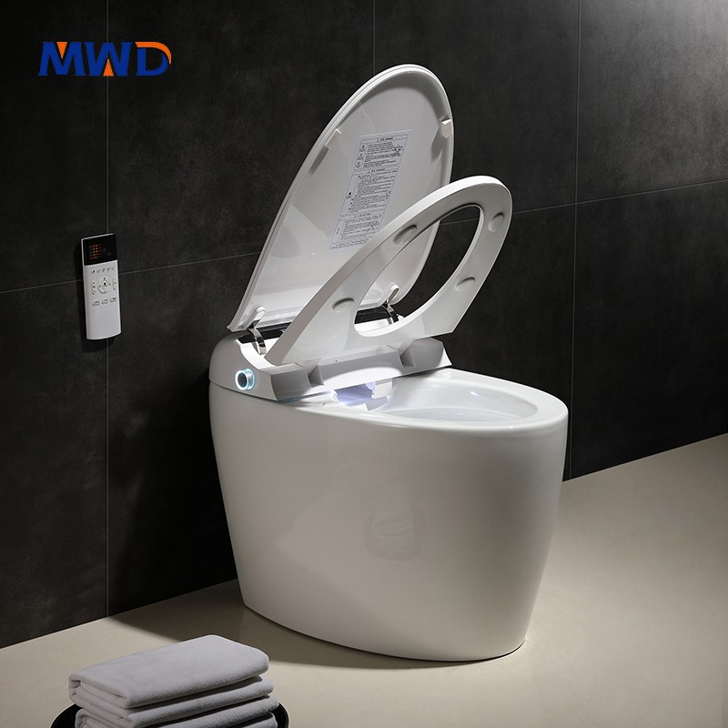 smart toilet