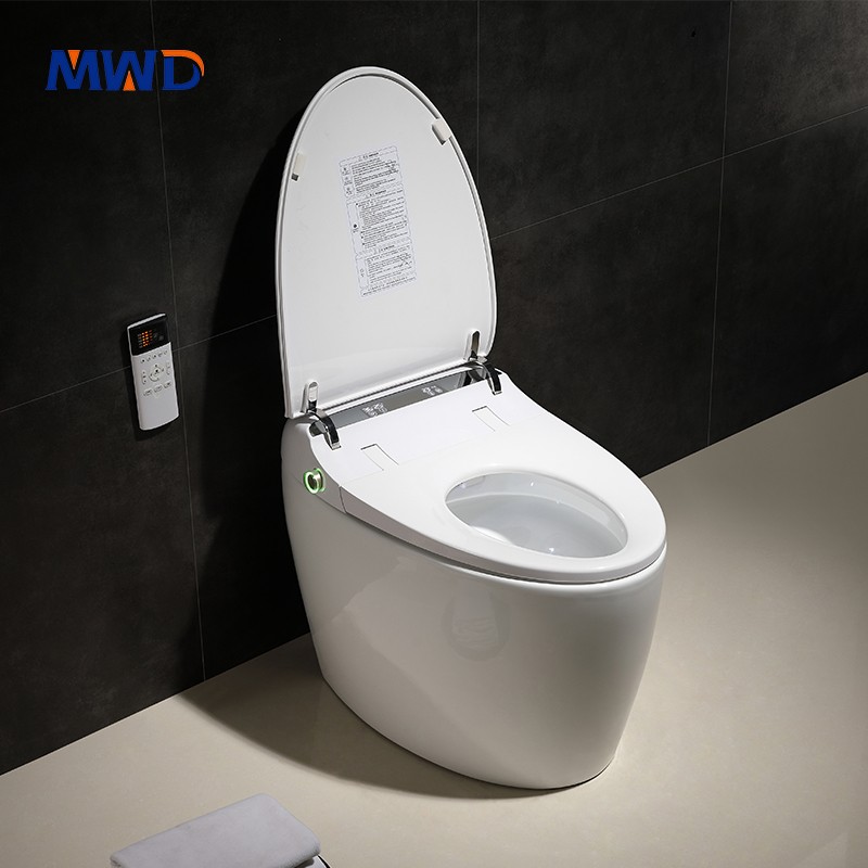 smart toilet