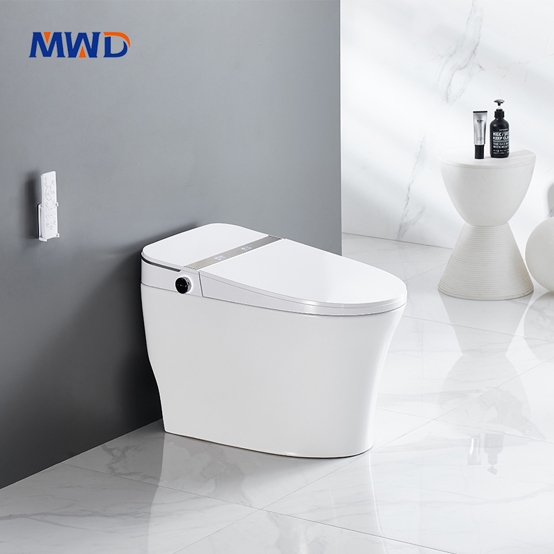 smart toilet