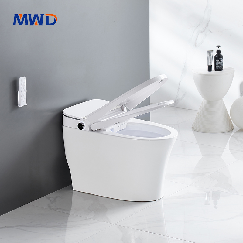 smart toilet