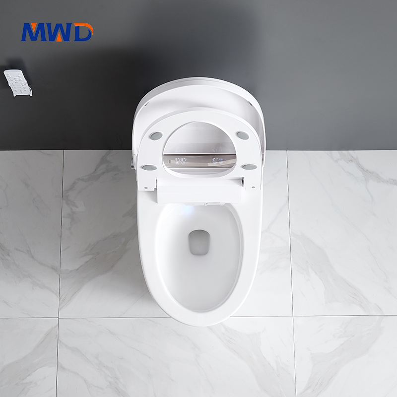 smart toilet