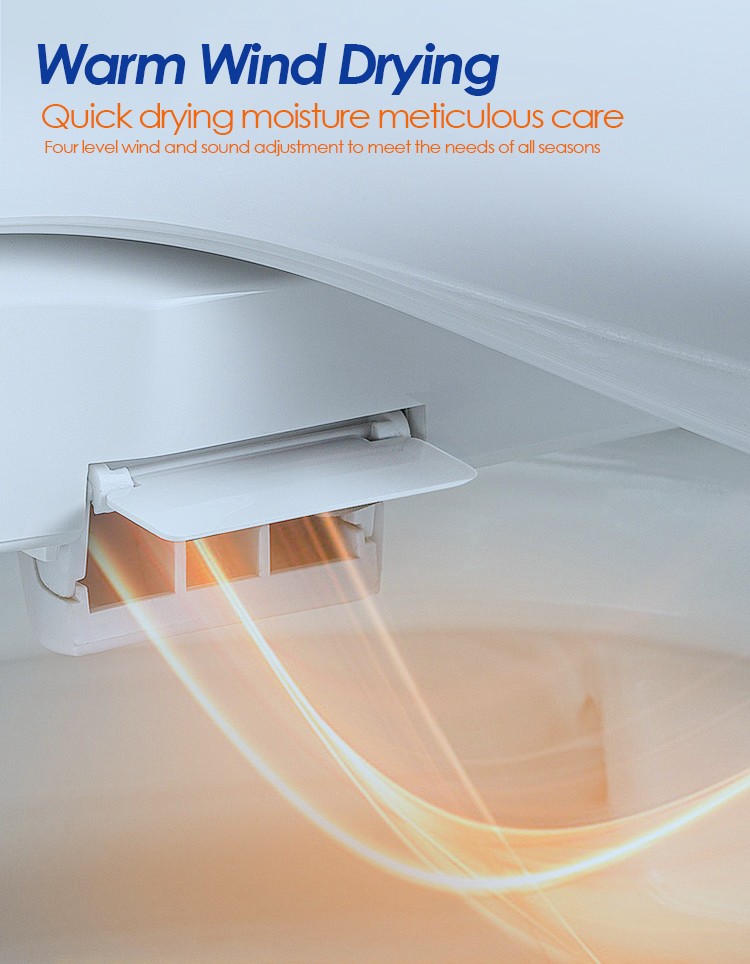 smart toilet with warm wind drying.jpg