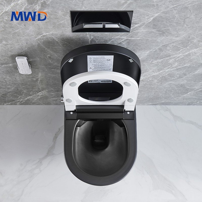 black toilet.jpg