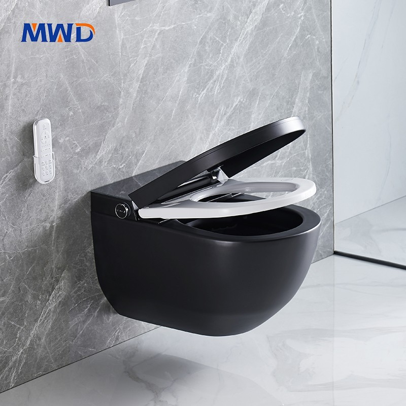 smart wall hung toilet.jpg