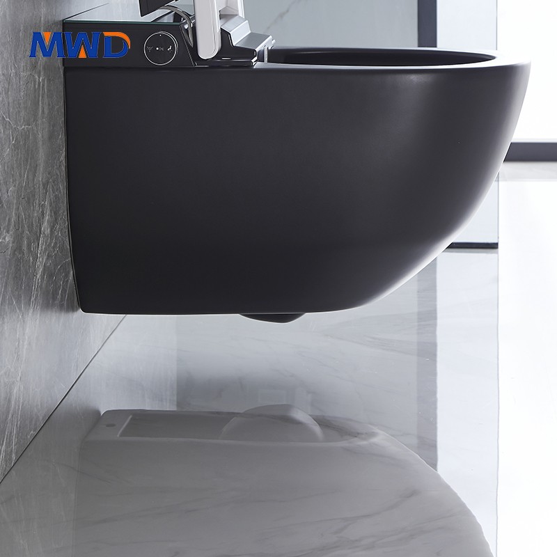 smart wall hung toilet.jpg