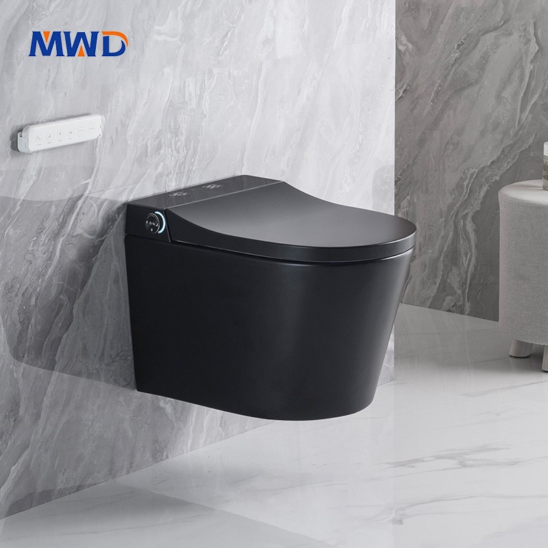 wall hung toilet.jpg