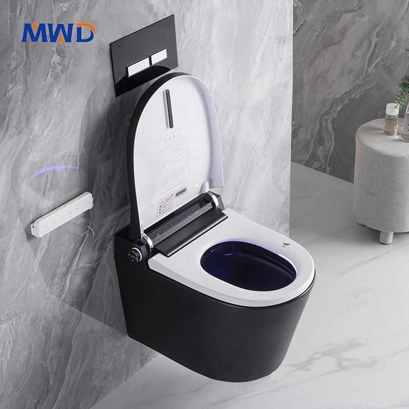 wall-hung toilet.jpg