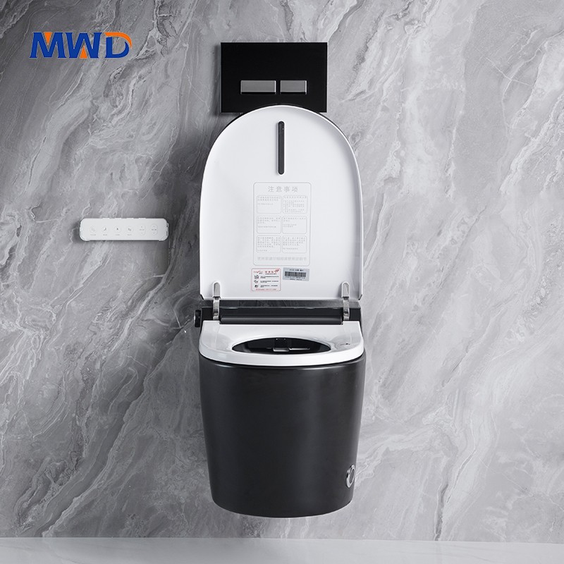 wall hung smart toilet.jpg