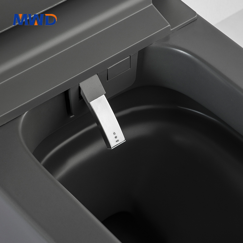 matte black toilet