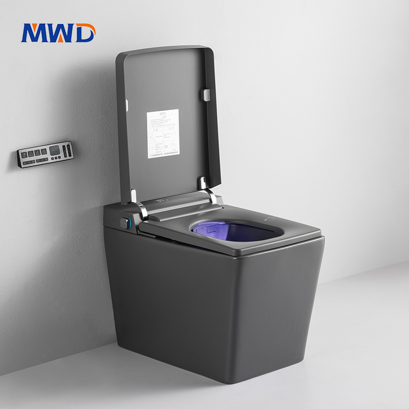 square smart toilet.jpg