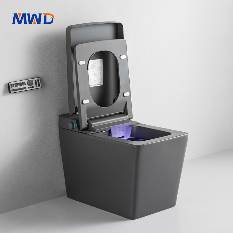 square smart toilet.jpg