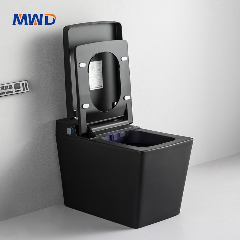 square smart toilet .jpg
