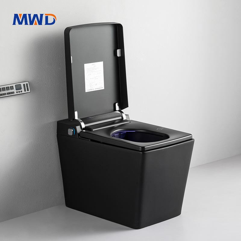 square smart toilet .jpg